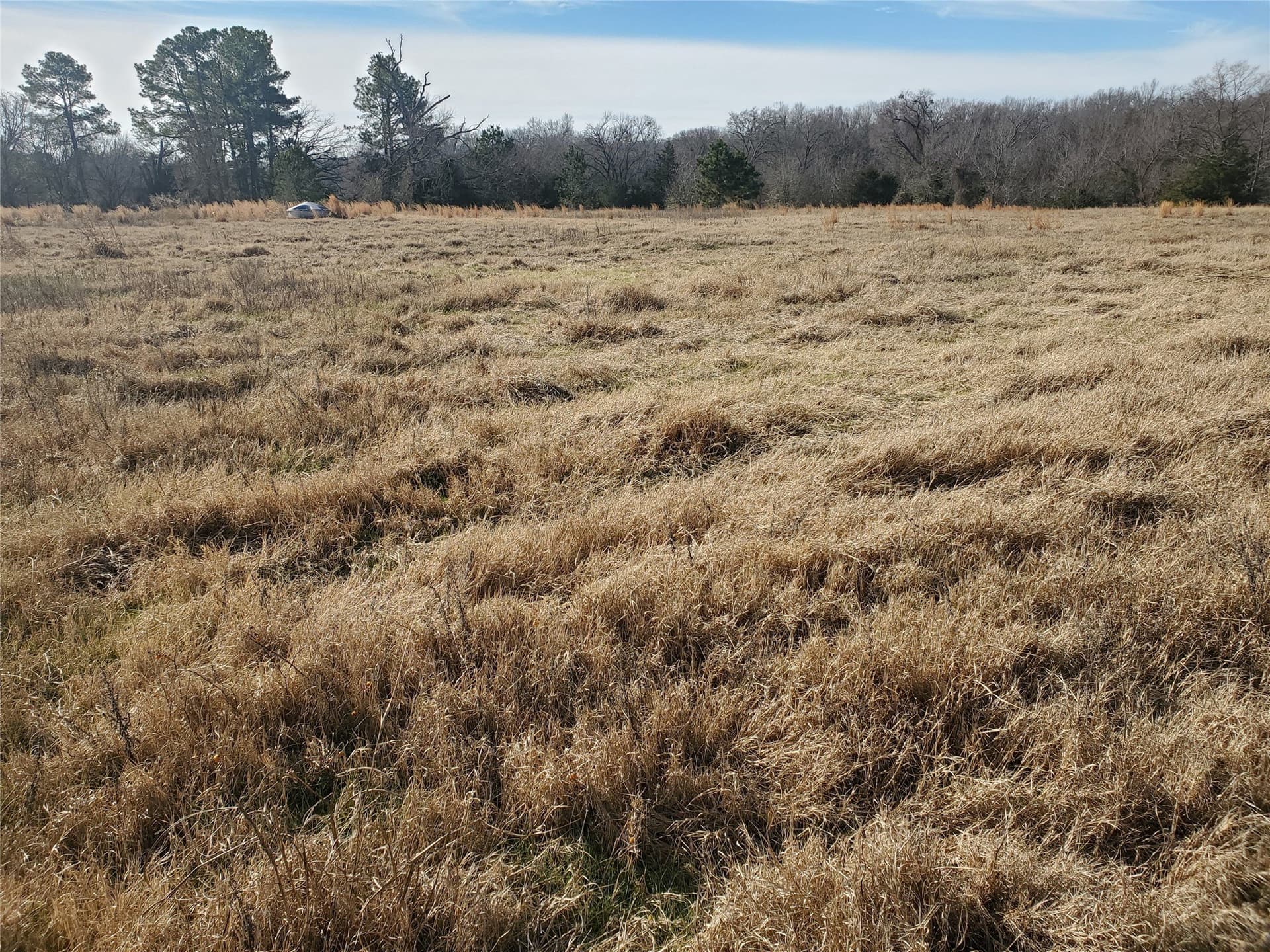 3 acres in Rains County - photo 7