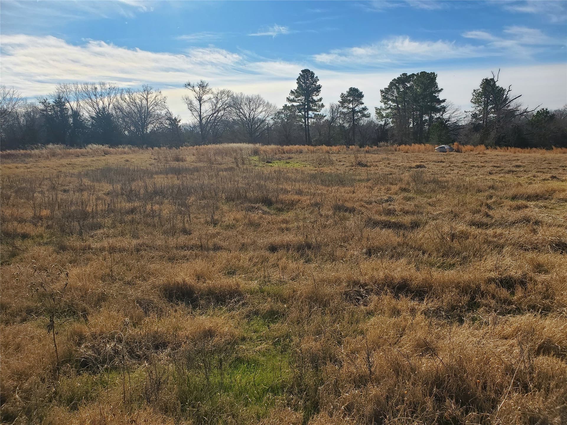 3 acres in Rains County - photo 8