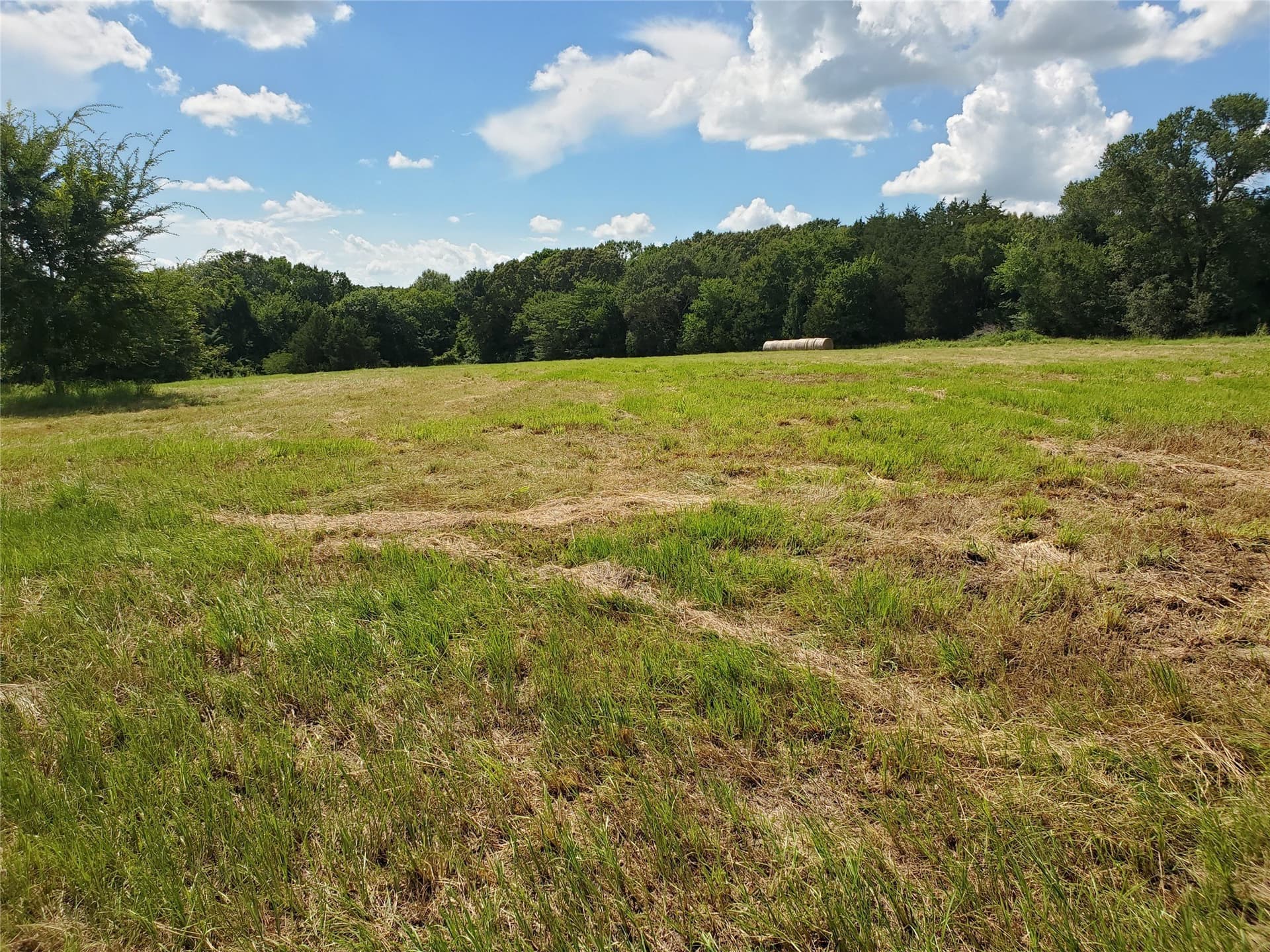 3 acres in Rains County - photo 2