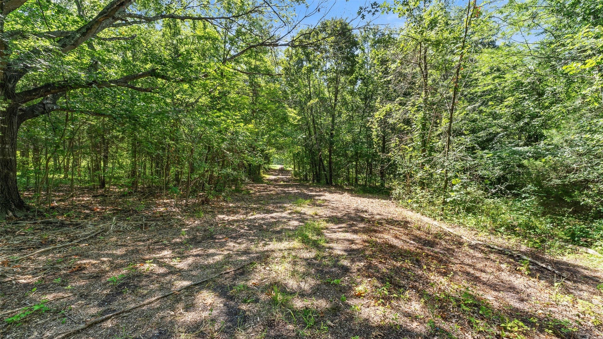 51.93 acres in Hopkins County - photo 23