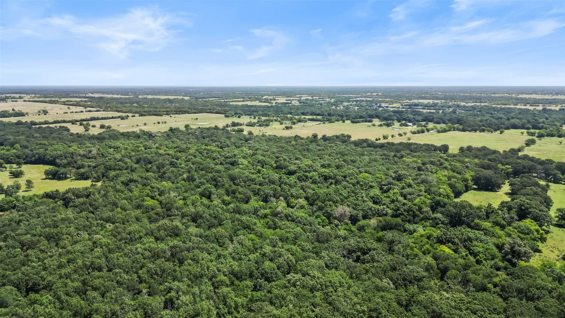 51.93 acres in Hopkins County - photo 13