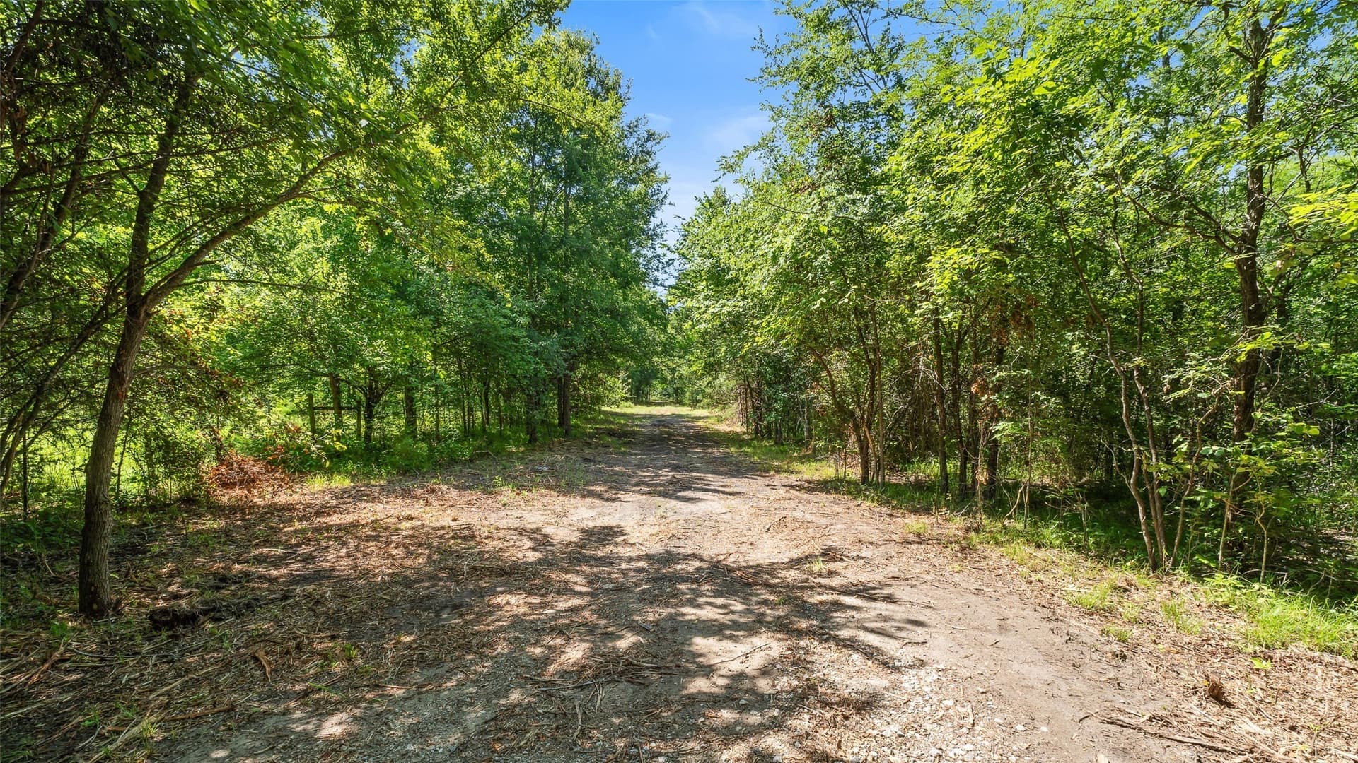 51.93 acres in Hopkins County - photo 28