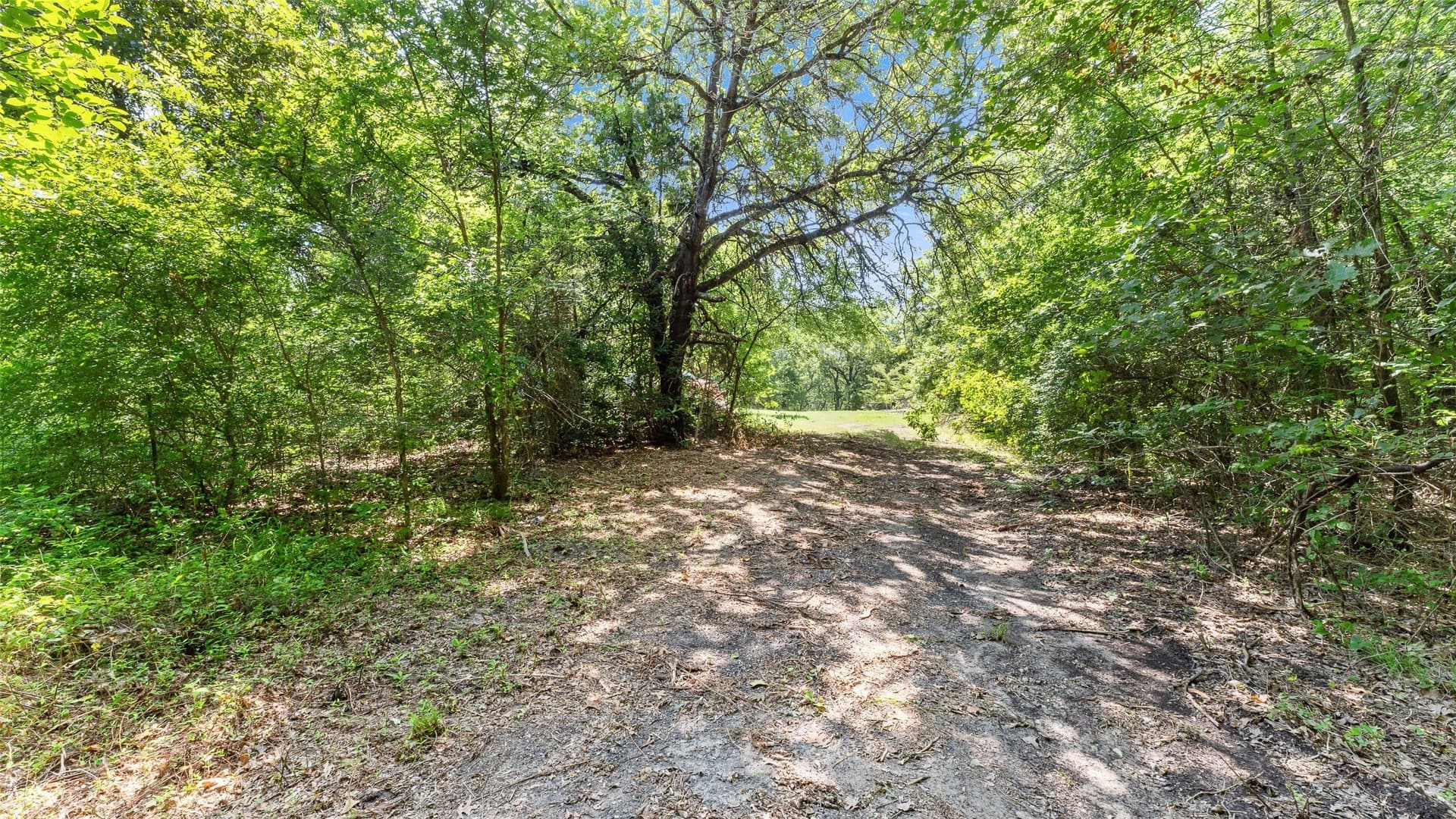 51.93 acres in Hopkins County - photo 21