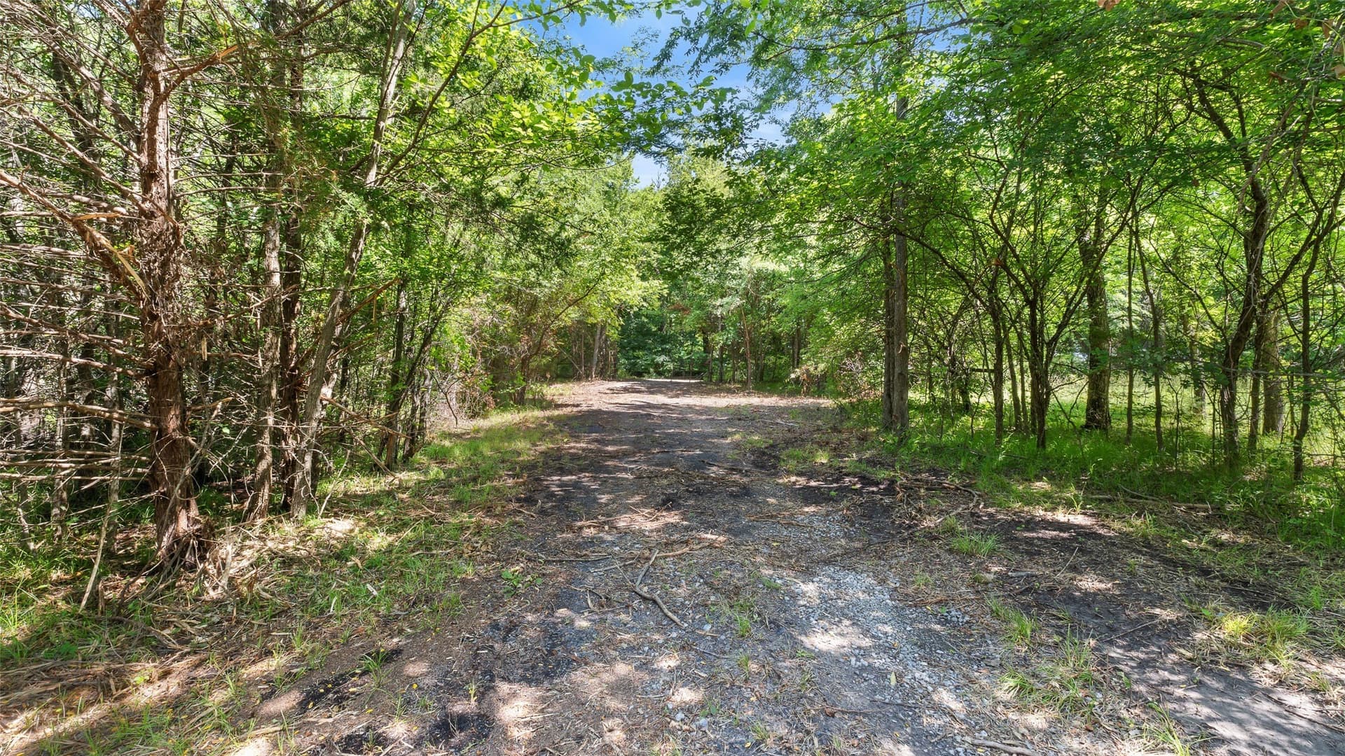51.93 acres in Hopkins County - photo 27