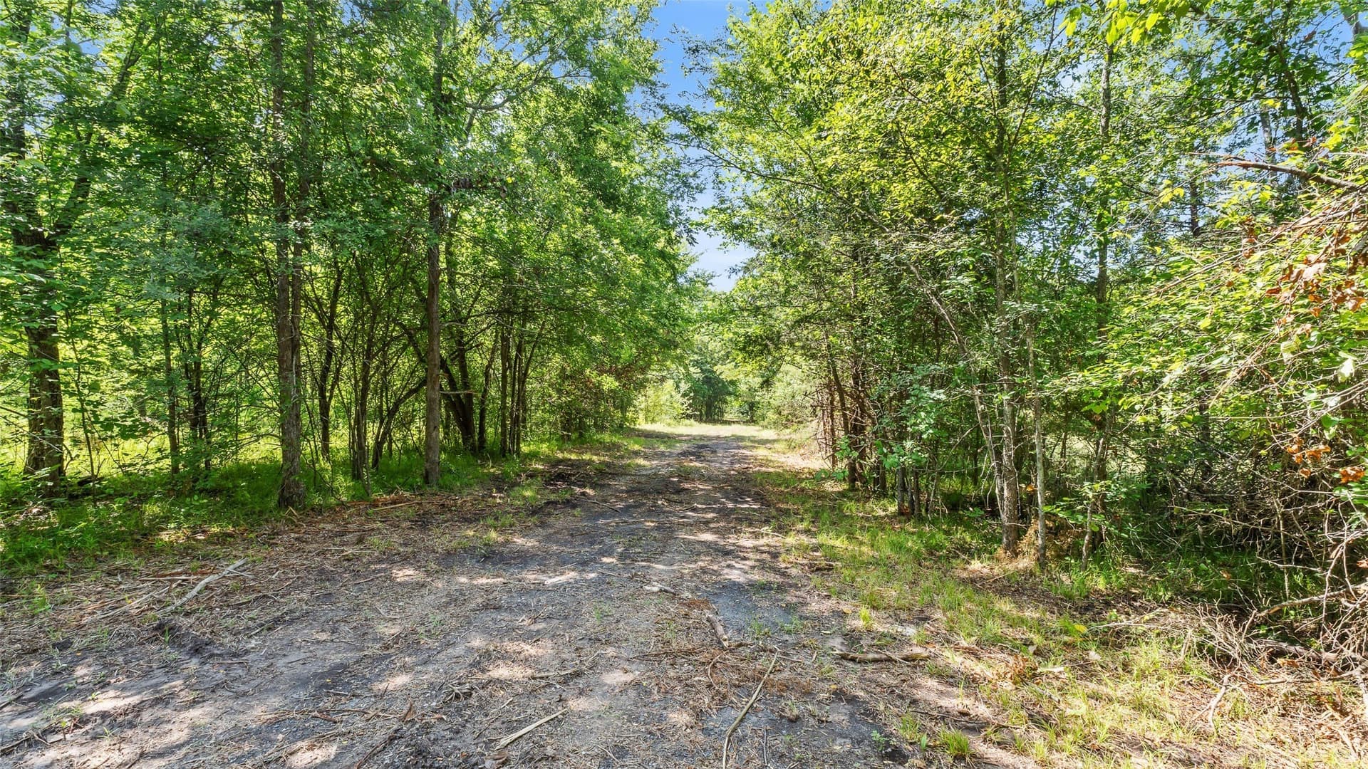 51.93 acres in Hopkins County - photo 26