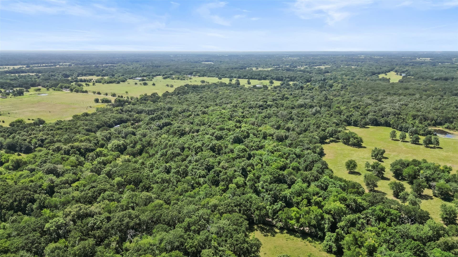 51.93 acres in Hopkins County - photo 6