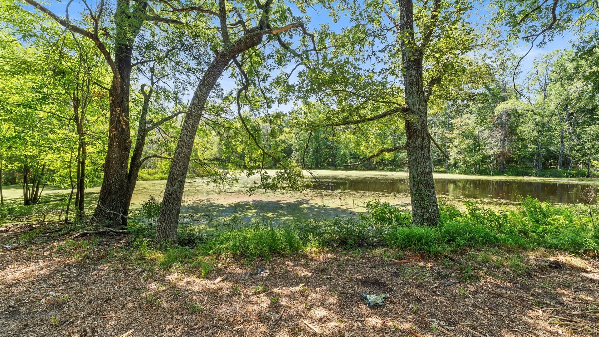 51.93 acres in Hopkins County - photo 18