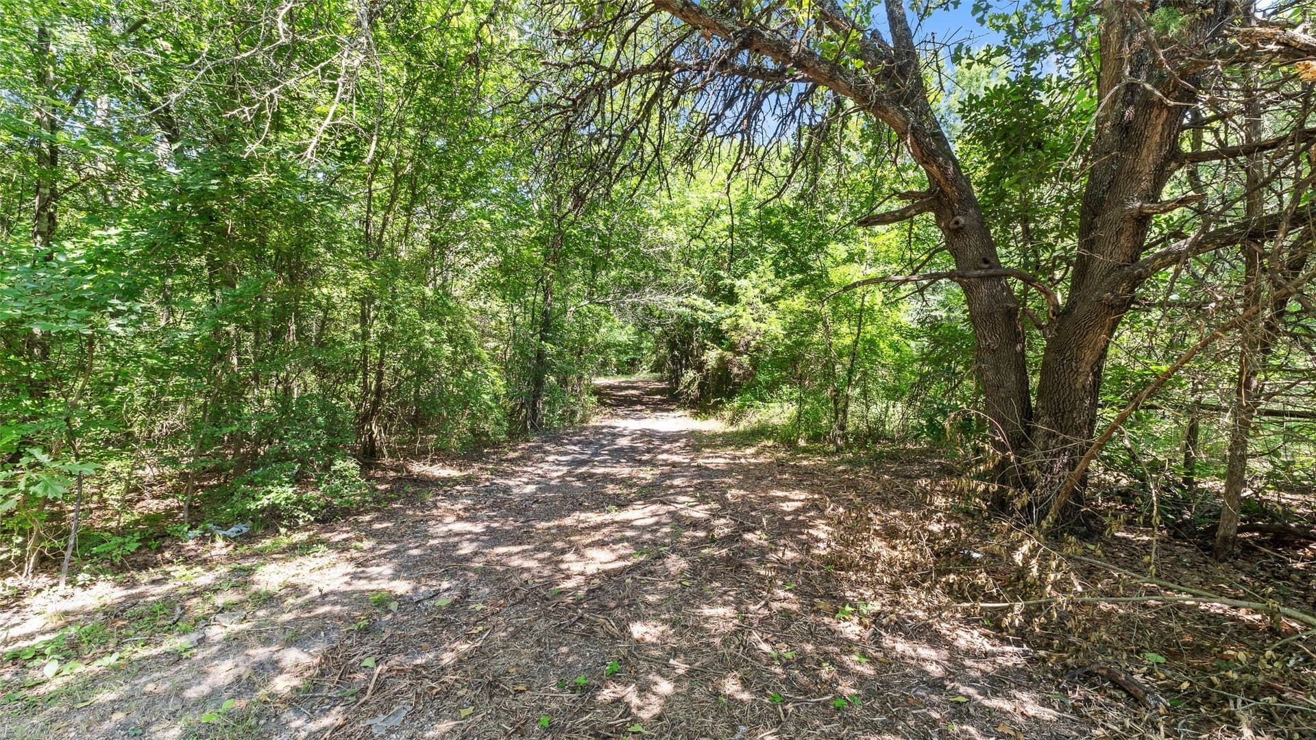 51.93 acres in Hopkins County - photo 14