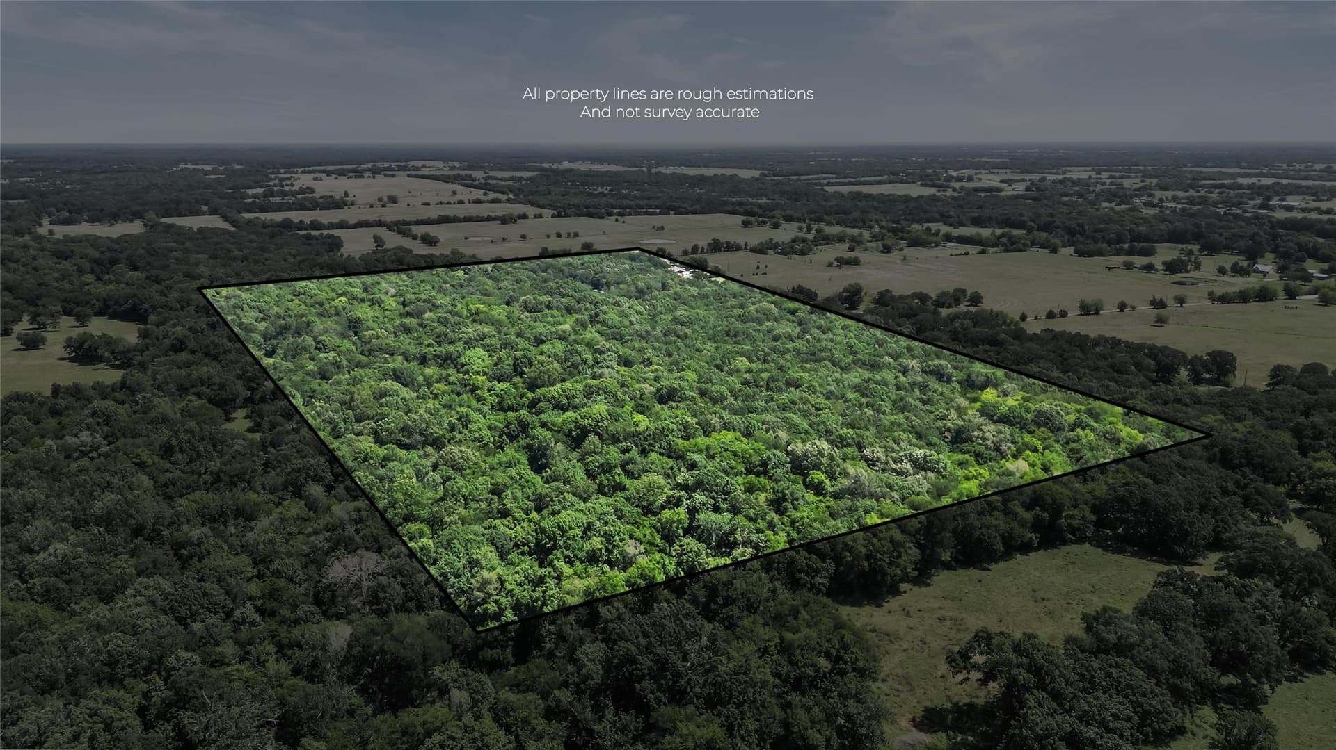 51.93 acres in Hopkins County - photo 3