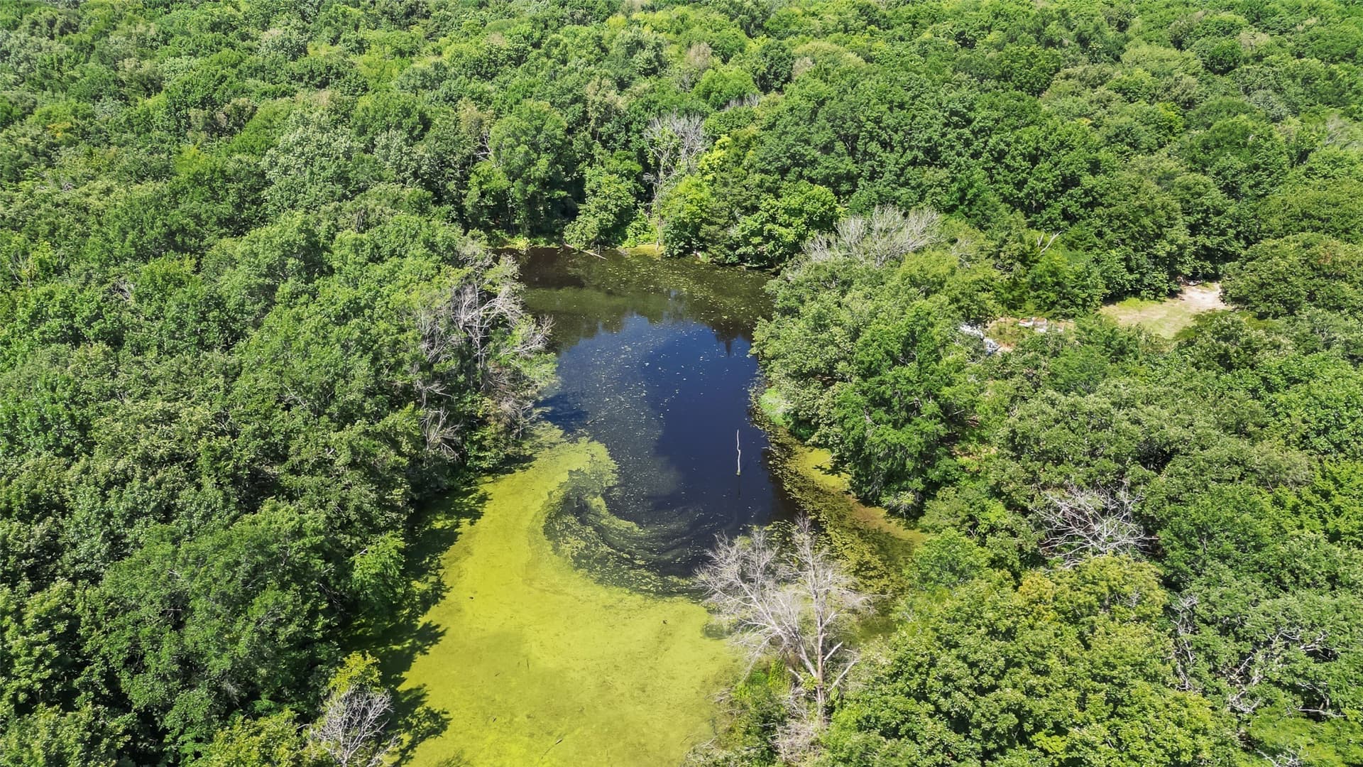 51.93 acres in Hopkins County - photo 8