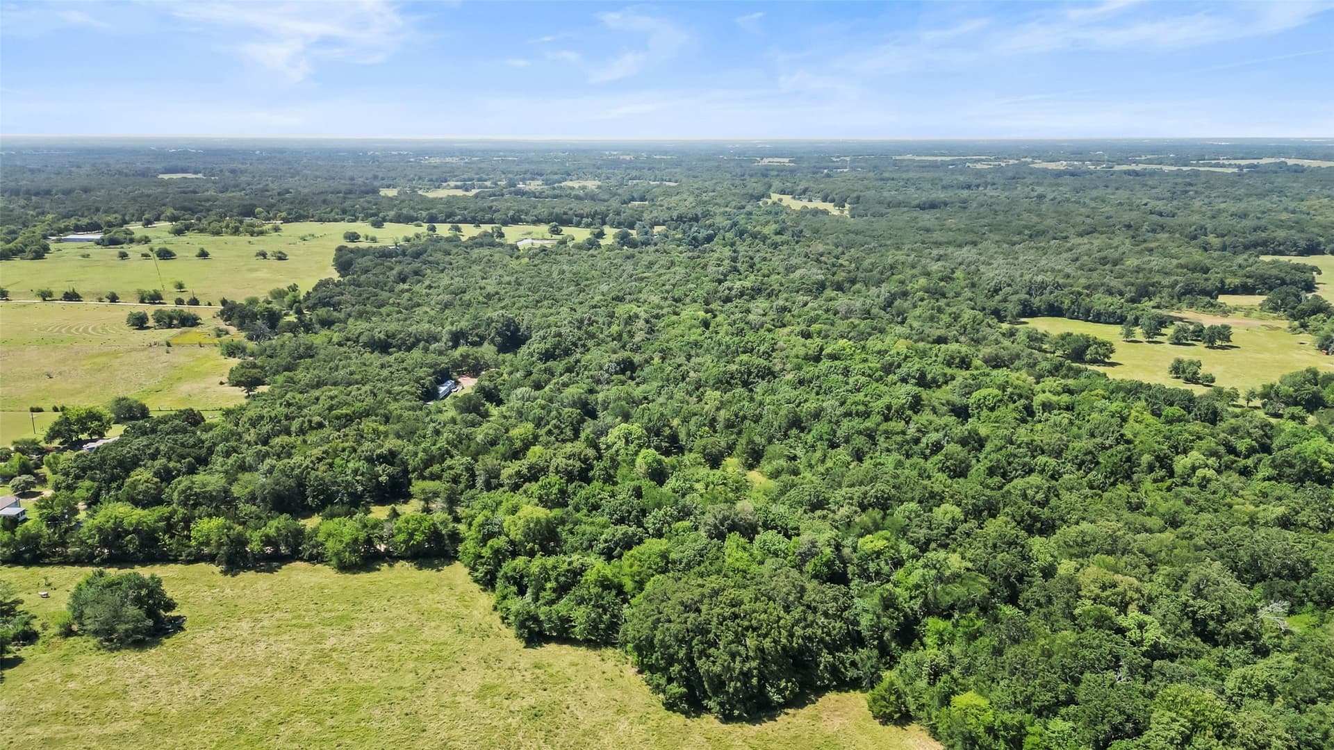 51.93 acres in Hopkins County - photo 5
