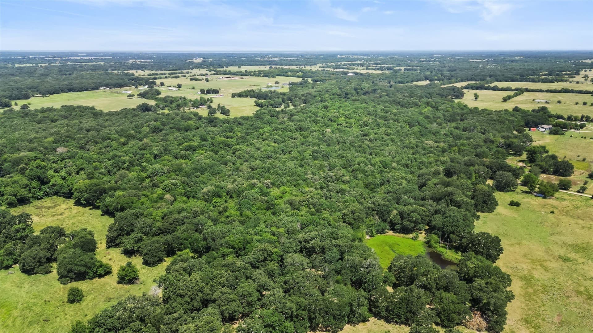 51.93 acres in Hopkins County - photo 10