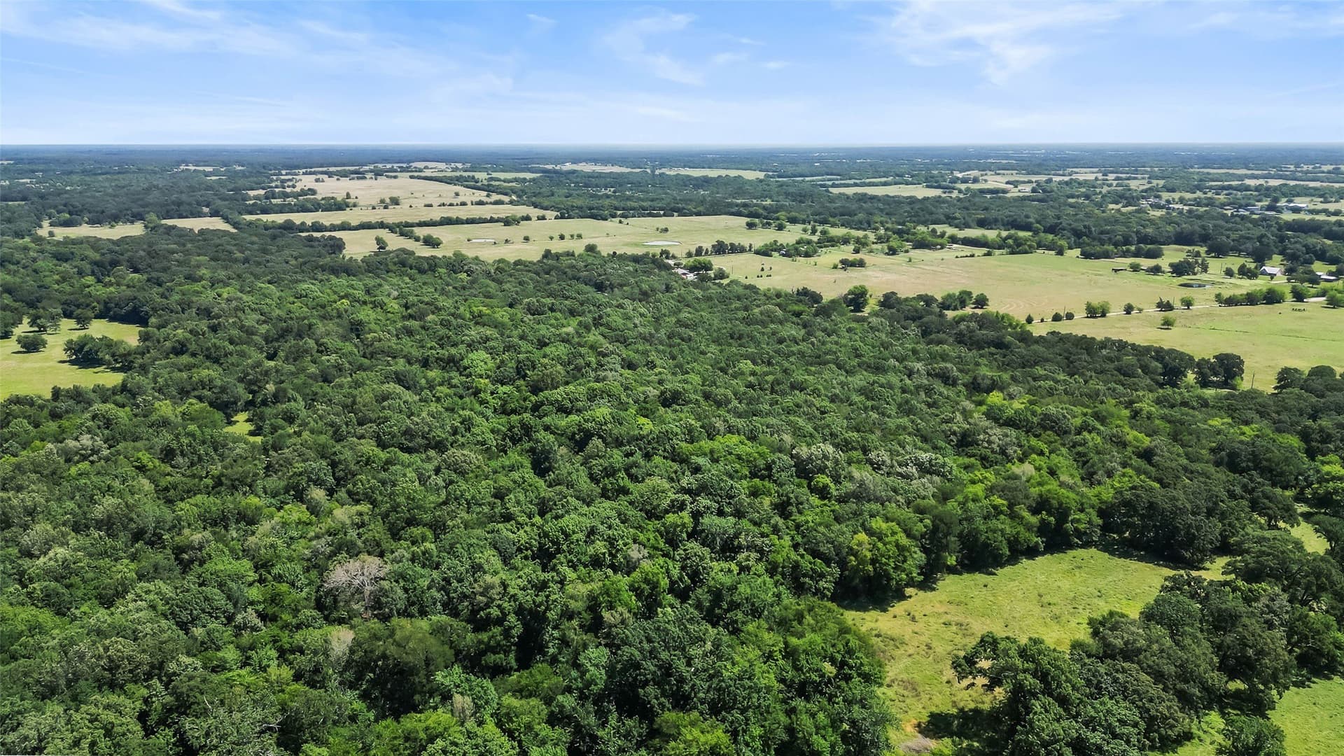 51.93 acres in Hopkins County - photo 11