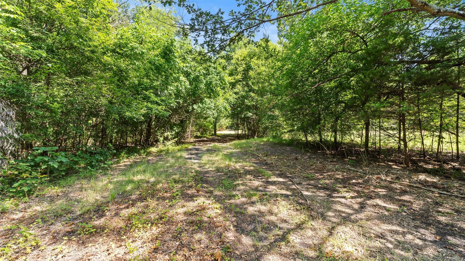 51.93 acres in Hopkins County - photo 22