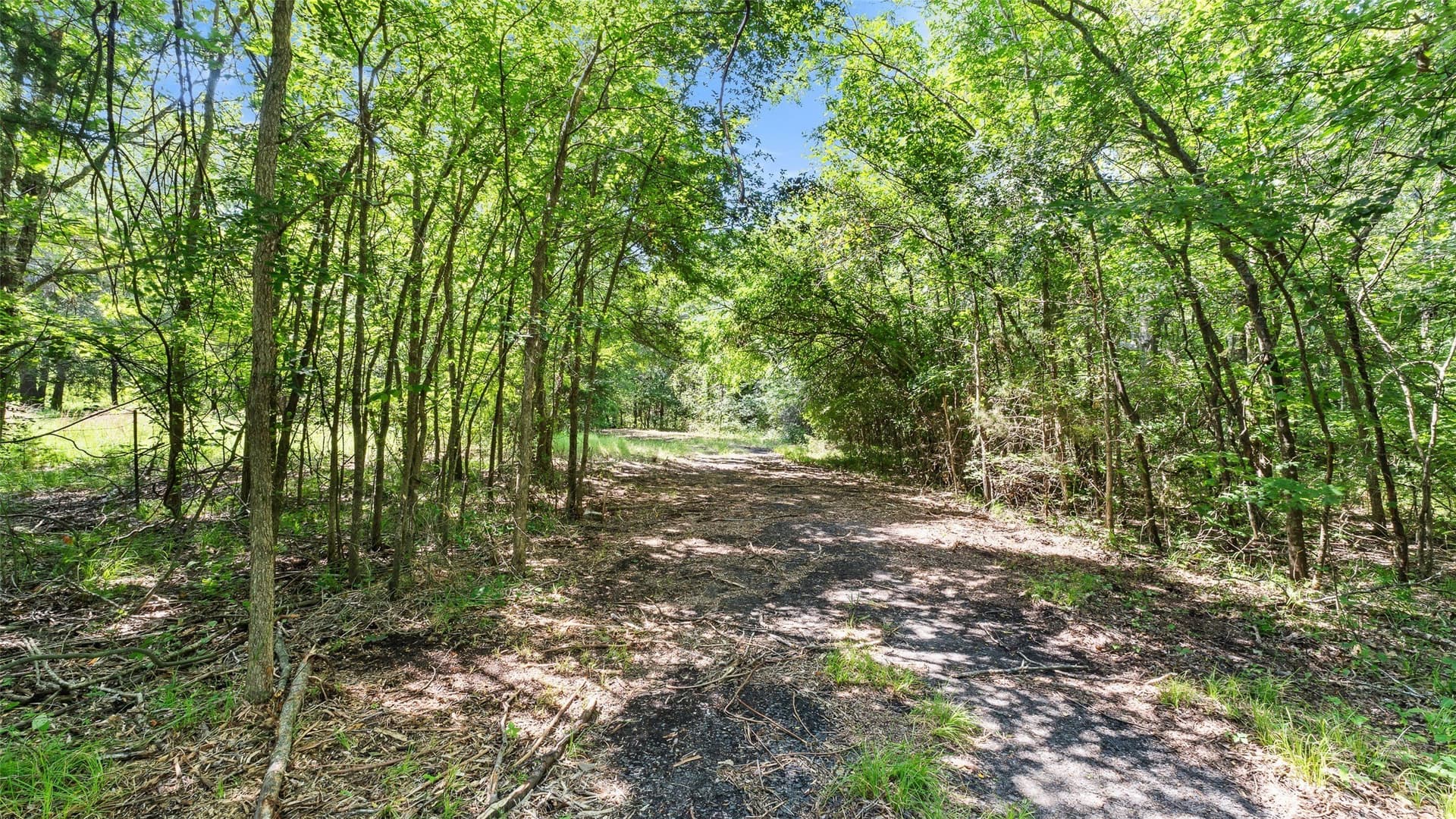 51.93 acres in Hopkins County - photo 25