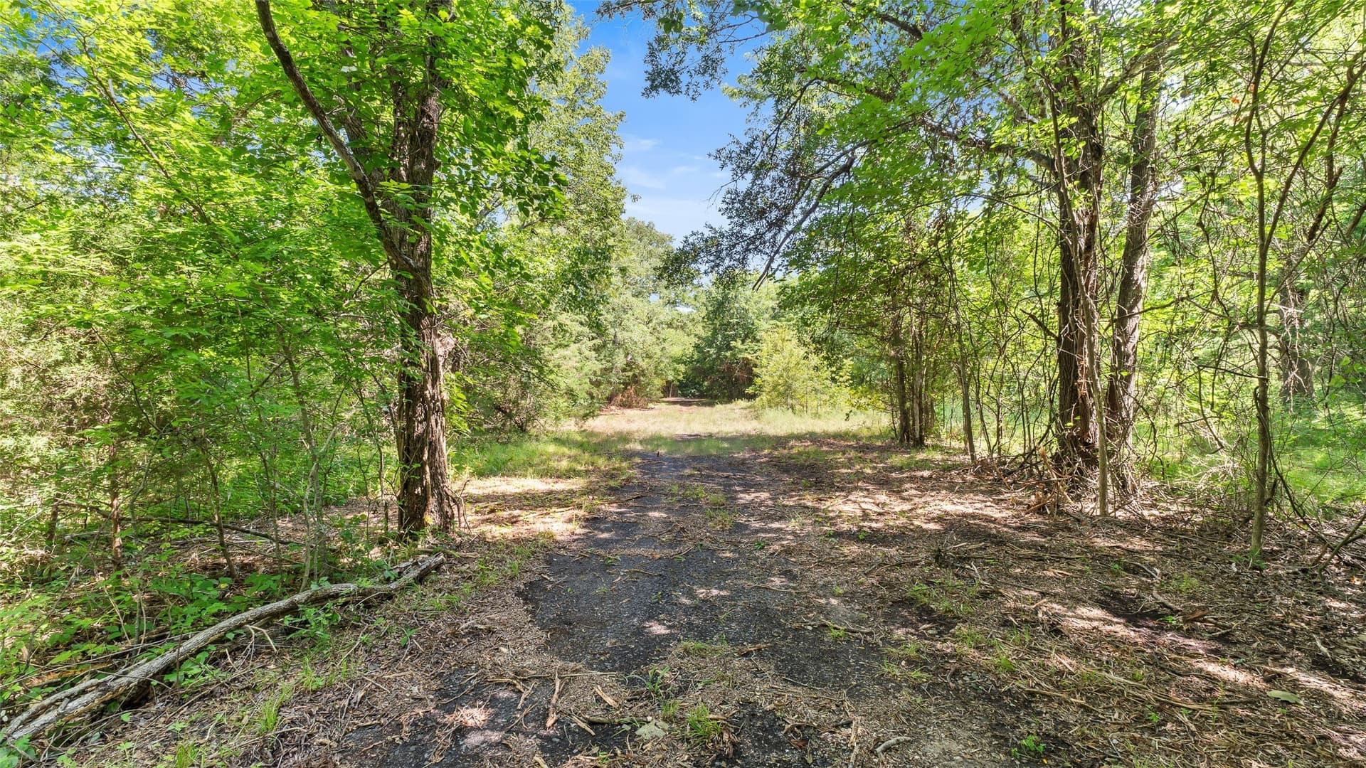 51.93 acres in Hopkins County - photo 24