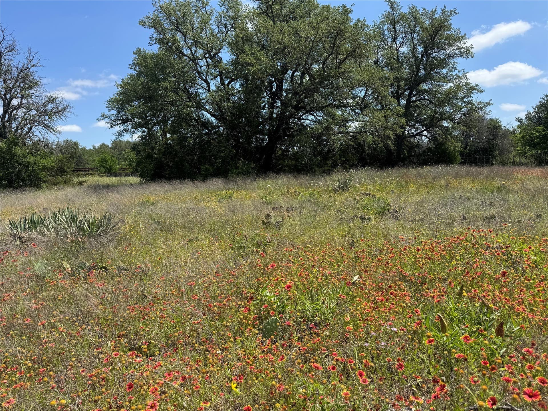 17.96 acres in Parker County - photo 4