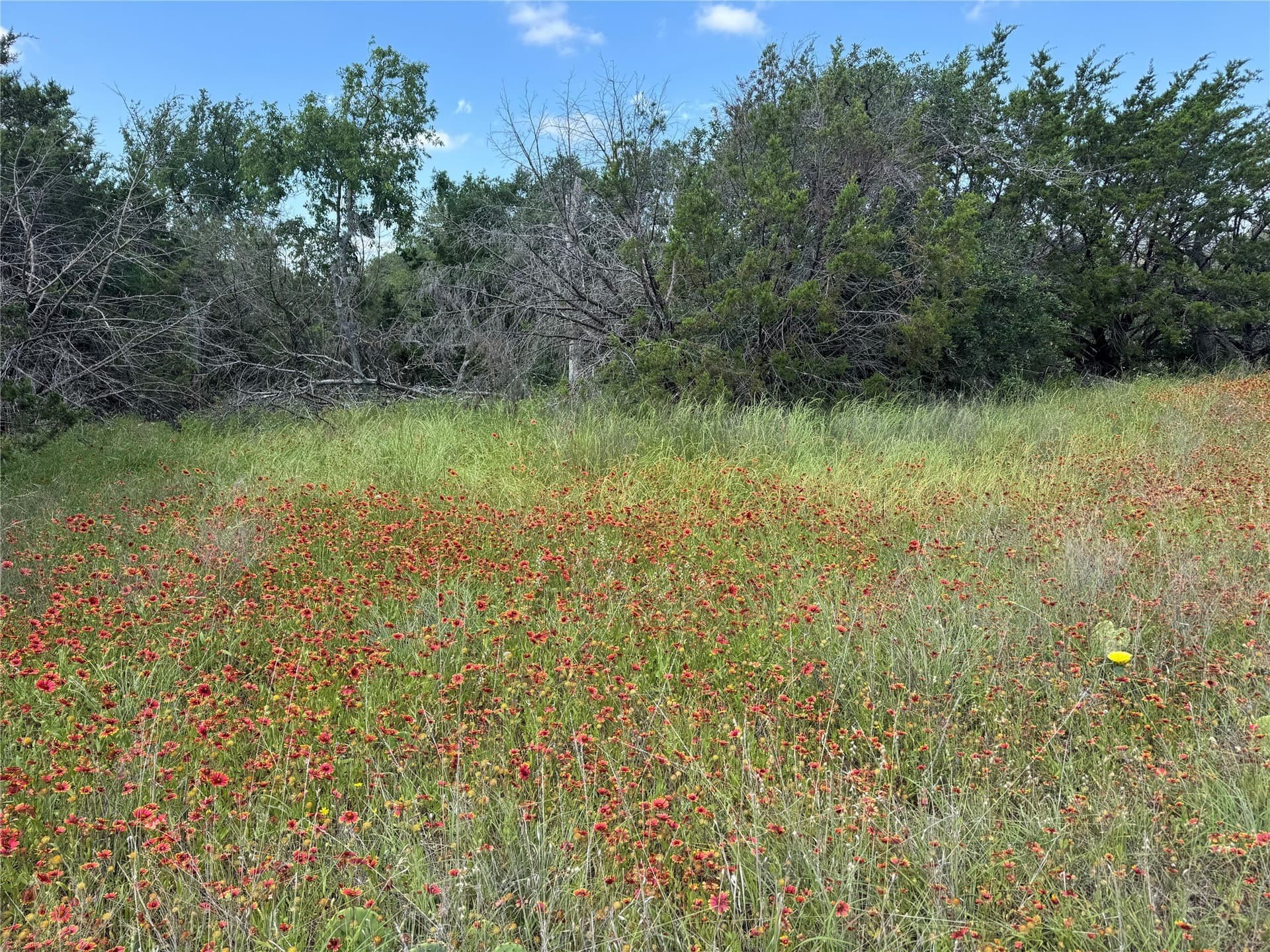 17.96 acres in Parker County - photo 13