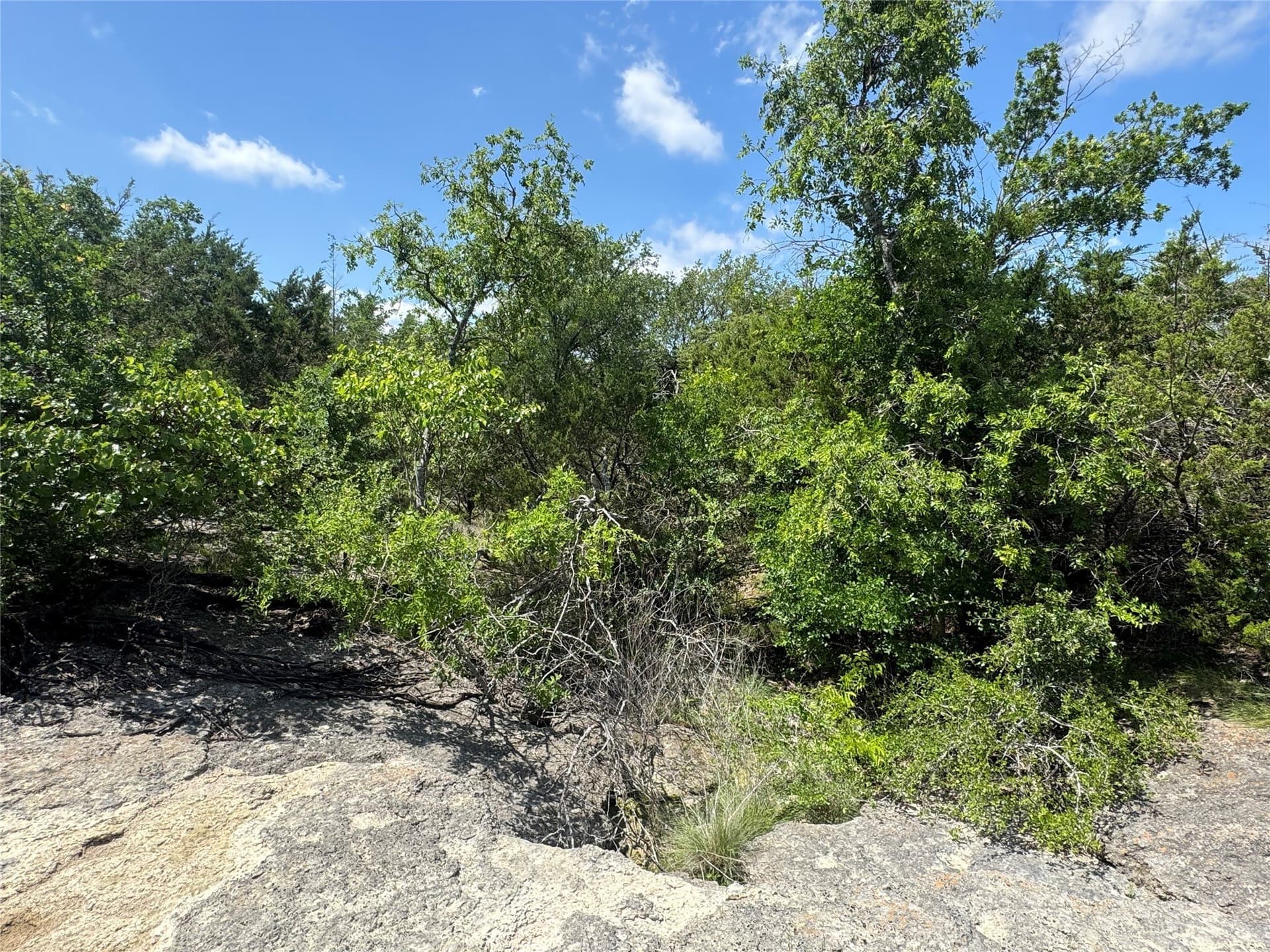 17.96 acres in Parker County - photo 11