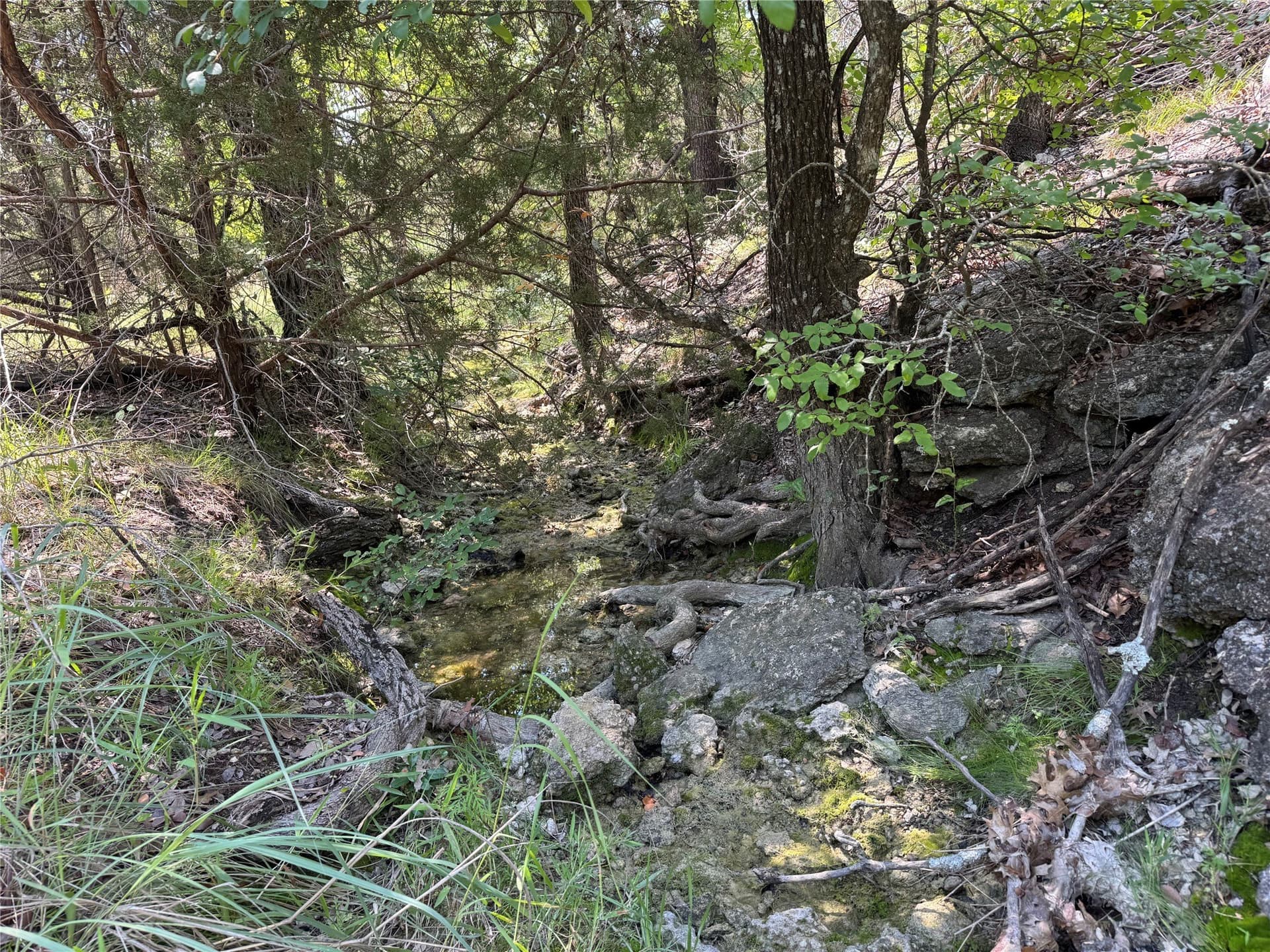 17.96 acres in Parker County - photo 10