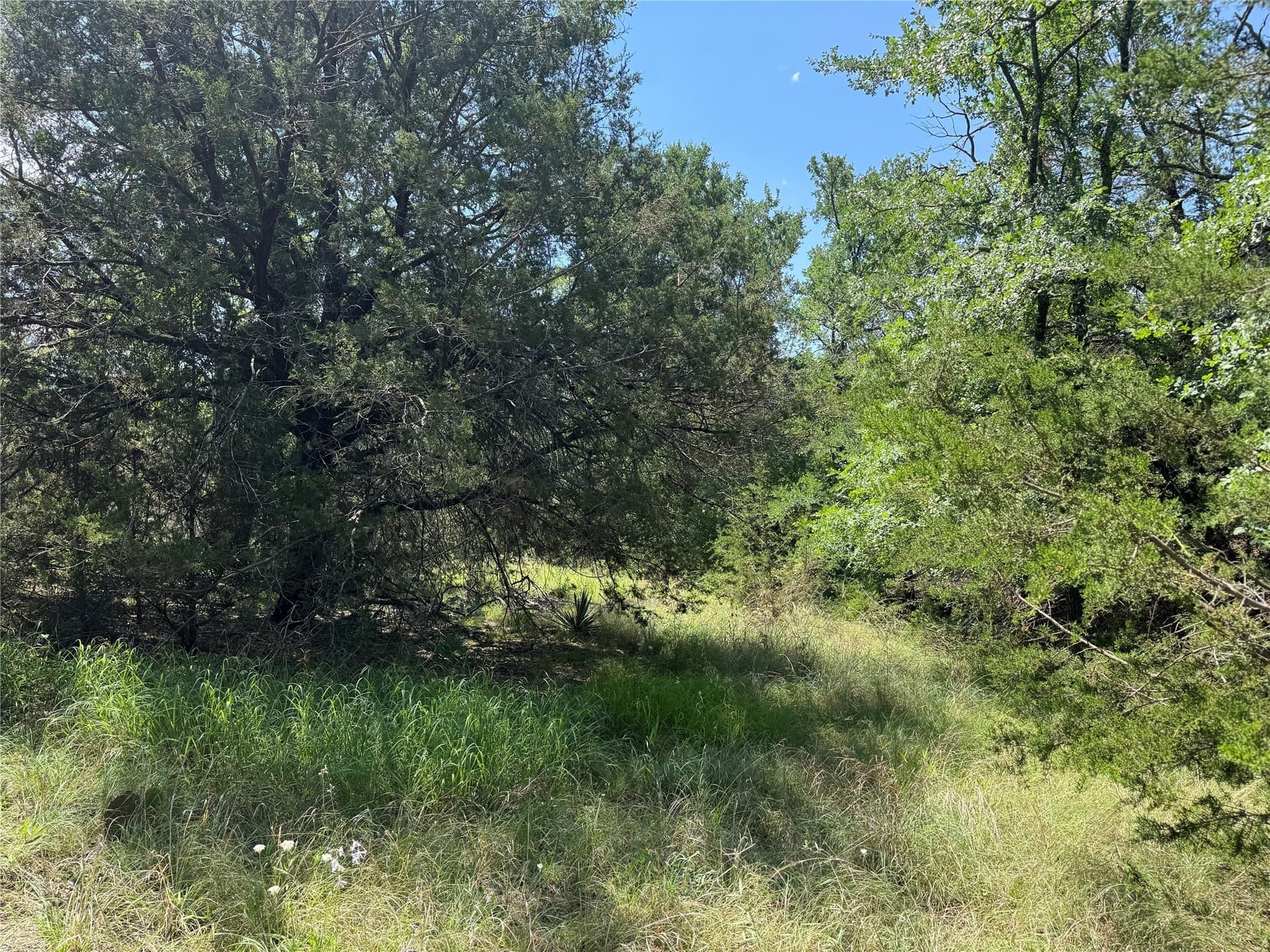 17.96 acres in Parker County - photo 2