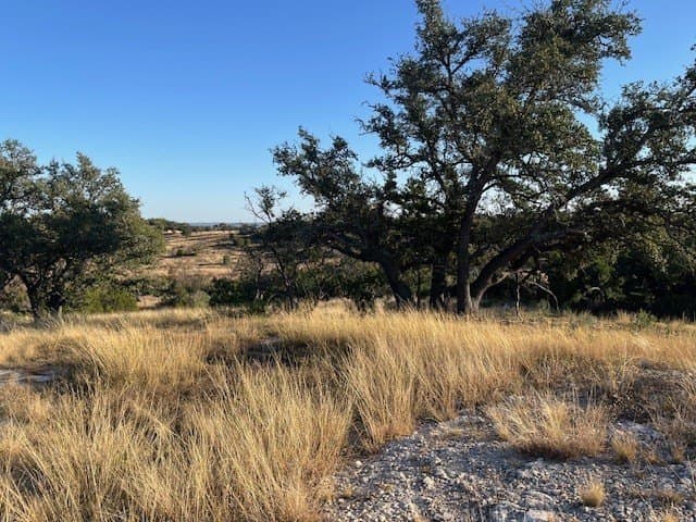 10.02 acres in Gillespie County gallery image 3