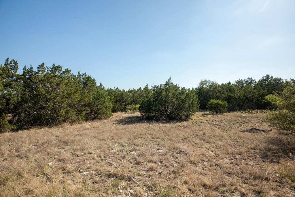 10.02 acres in Gillespie County - photo 9