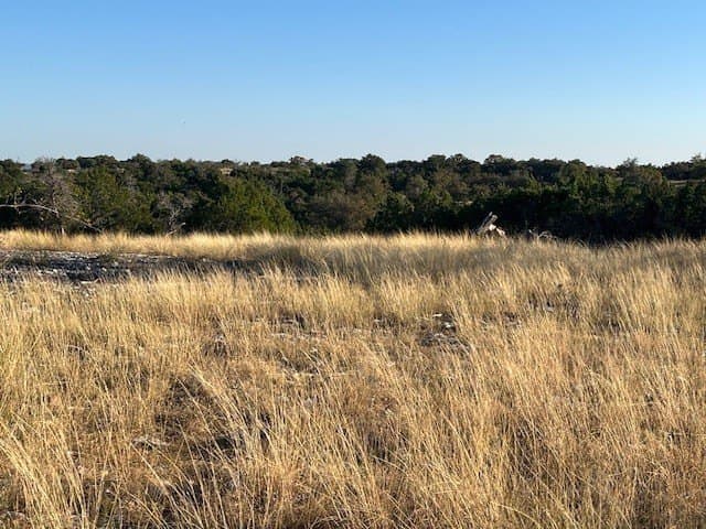 10.02 acres in Gillespie County featured view