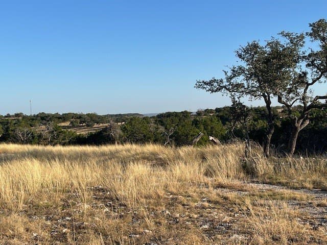10.02 acres in Gillespie County gallery image 4