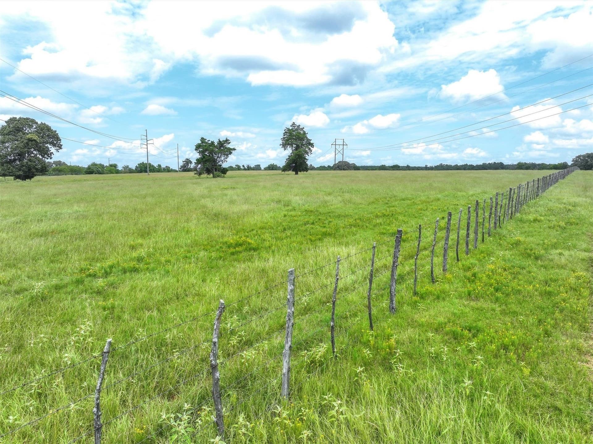 10 acres in Cherokee County - photo 8
