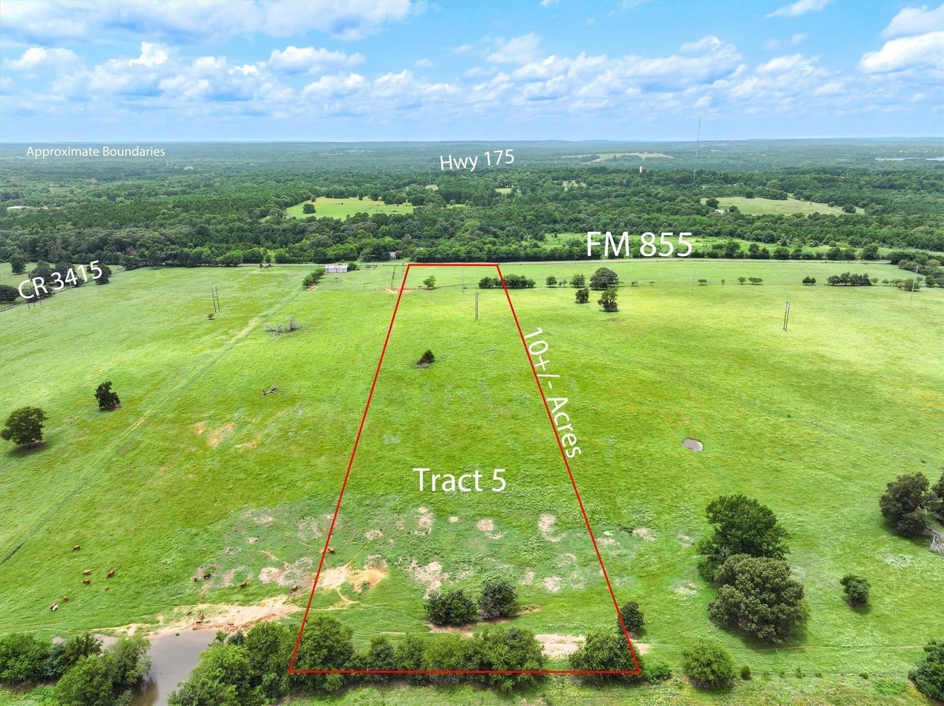 10 acres in Cherokee County gallery image 2
