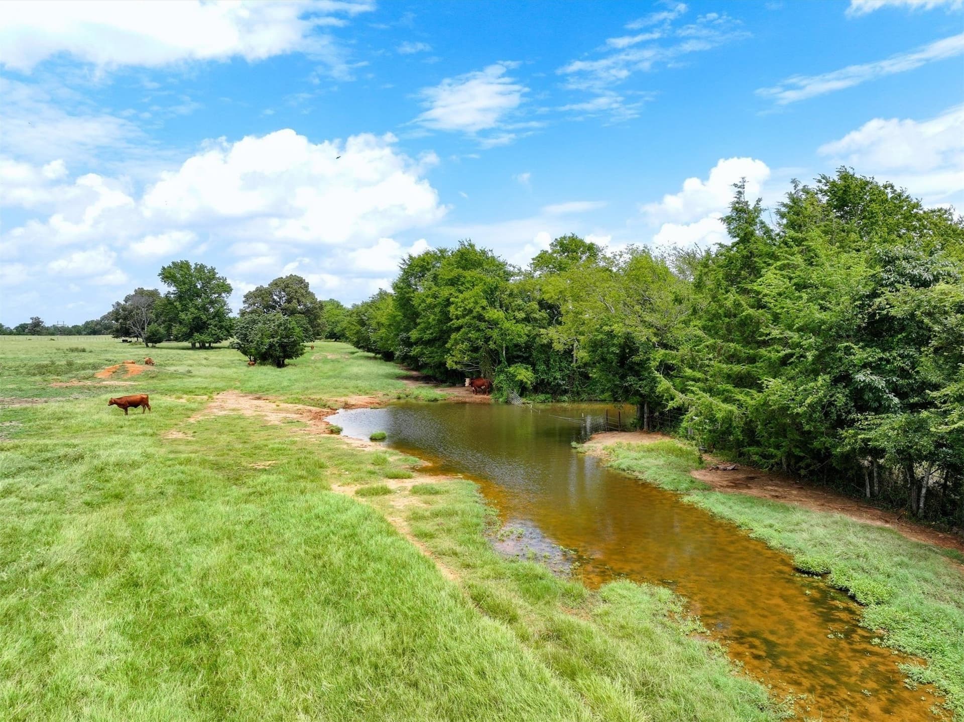10 acres in Cherokee County gallery image 4