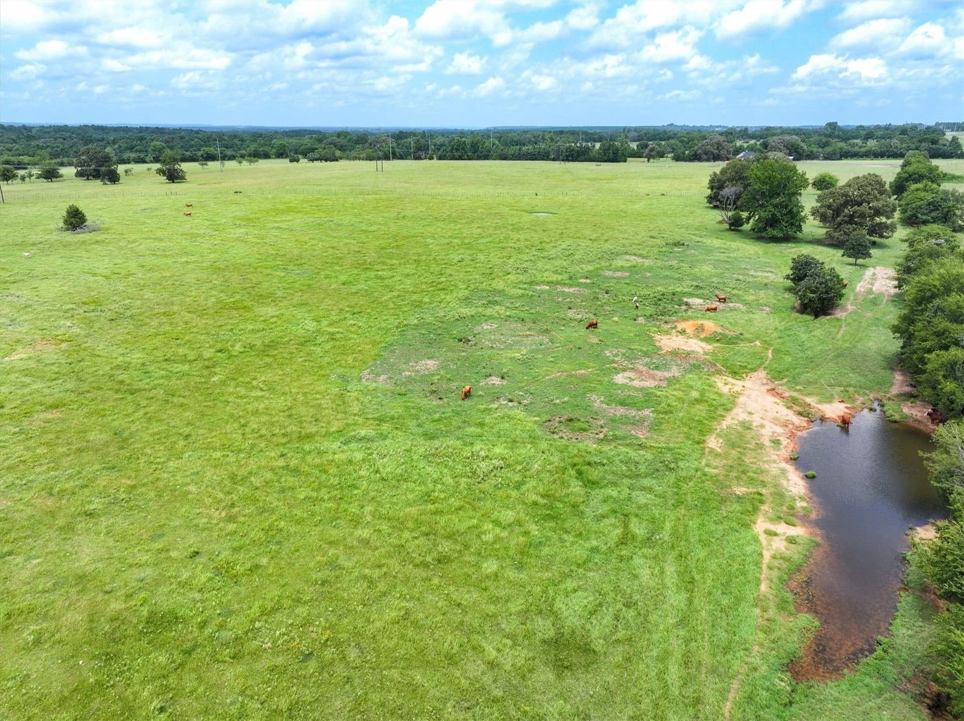 10 acres in Cherokee County featured view