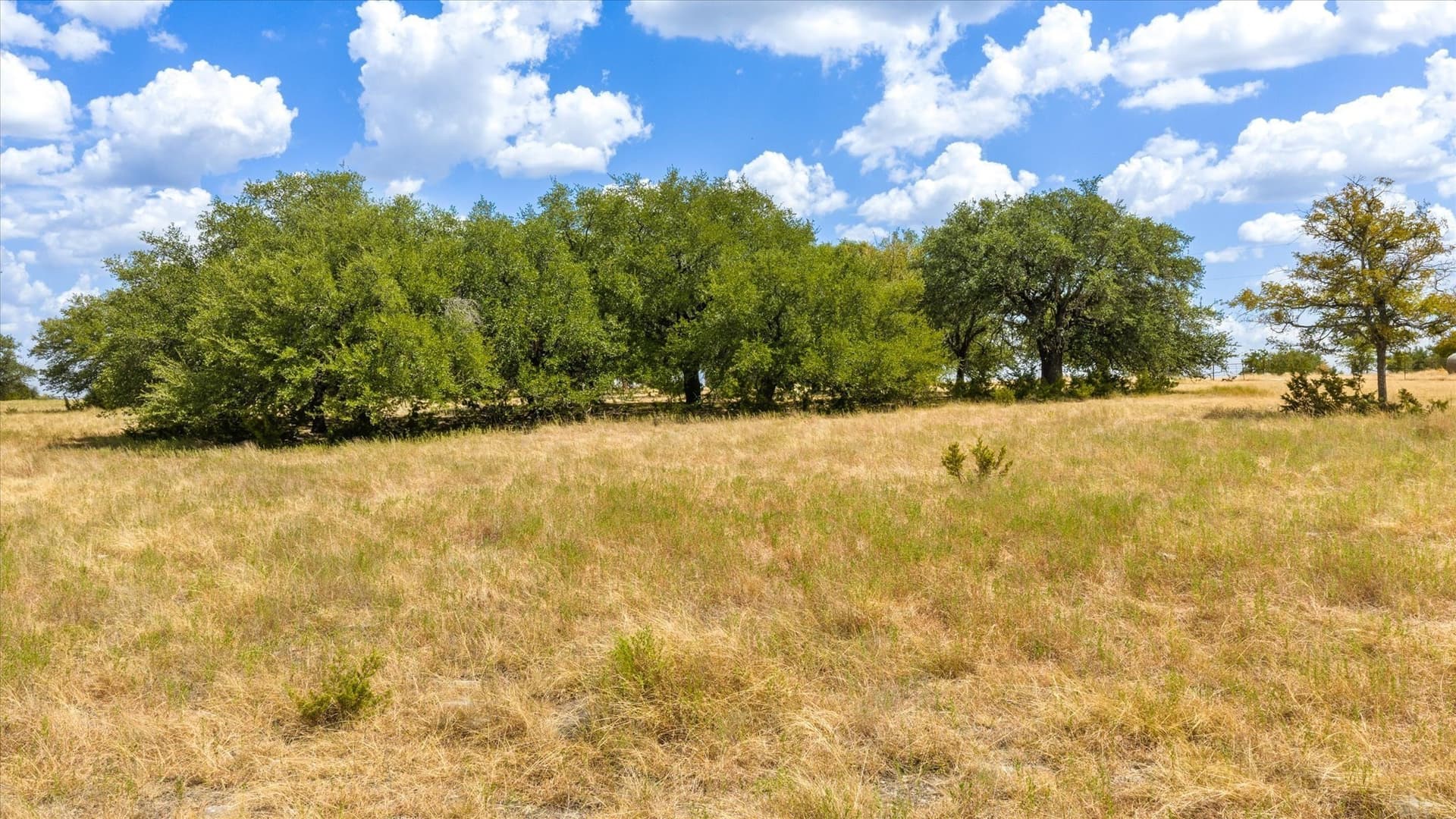 54.47 acres in Somervell County - photo 16
