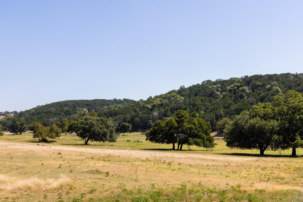109.5 acres in Kerr County - photo 66
