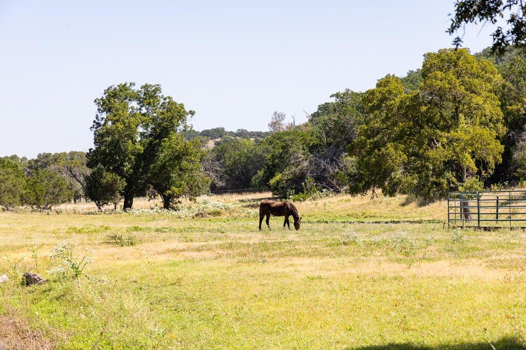109.5 acres in Kerr County - photo 65