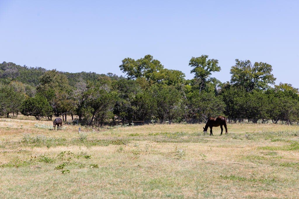 109.5 acres in Kerr County - photo 56