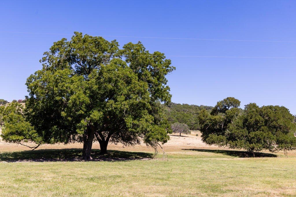 109.5 acres in Kerr County - photo 62