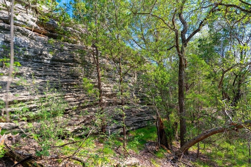 1,475 acres in Coleman County featured view