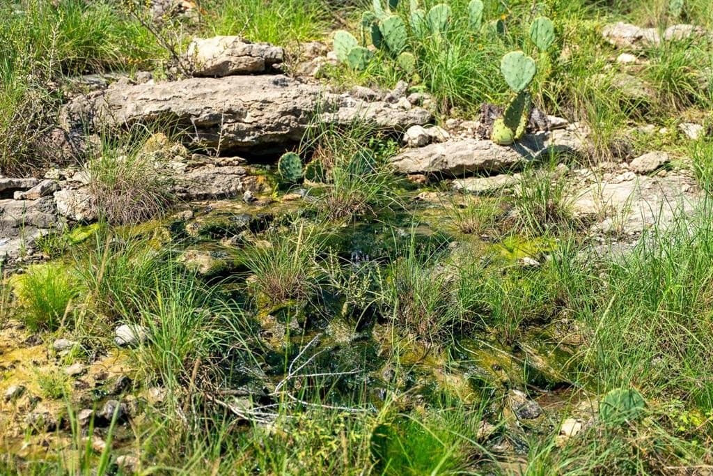 1,475 acres in Coleman County gallery image 3