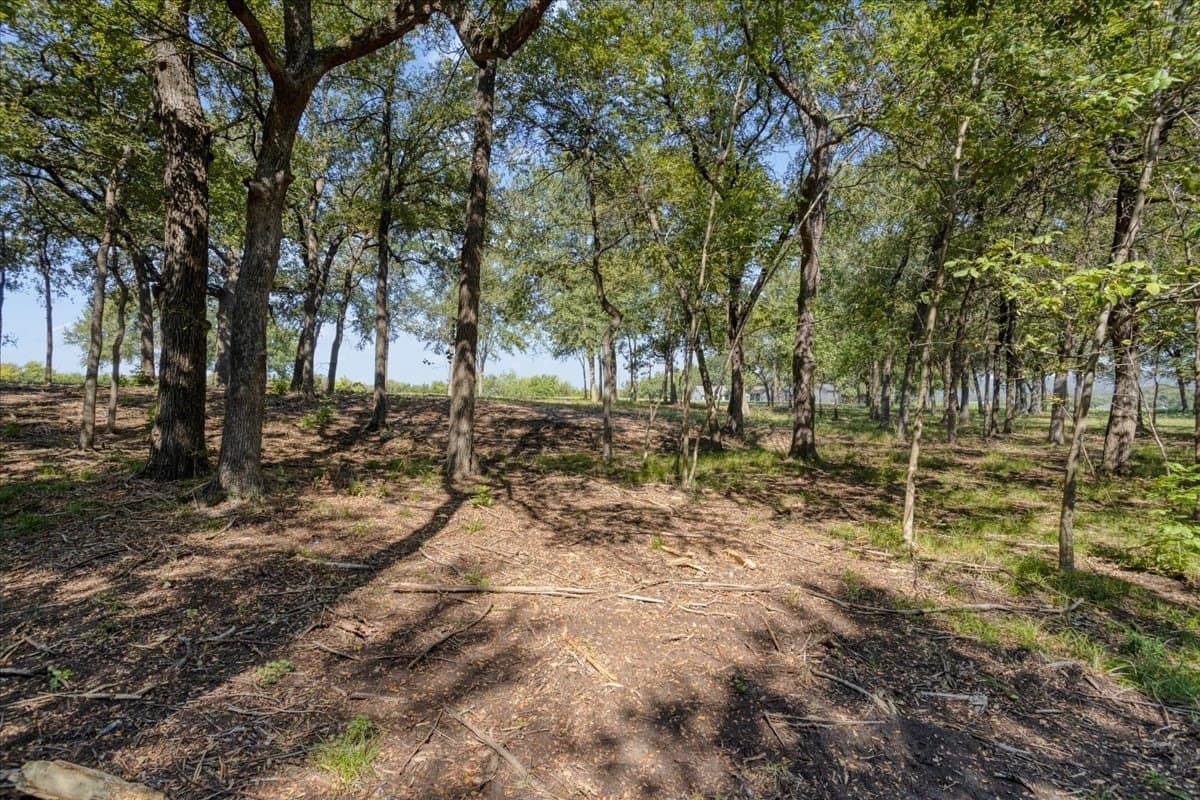2 acres in Grayson County - photo 8