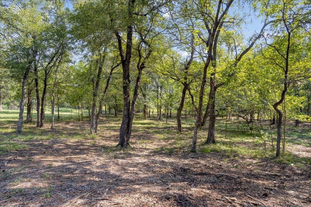 2 acres in Grayson County - photo 7