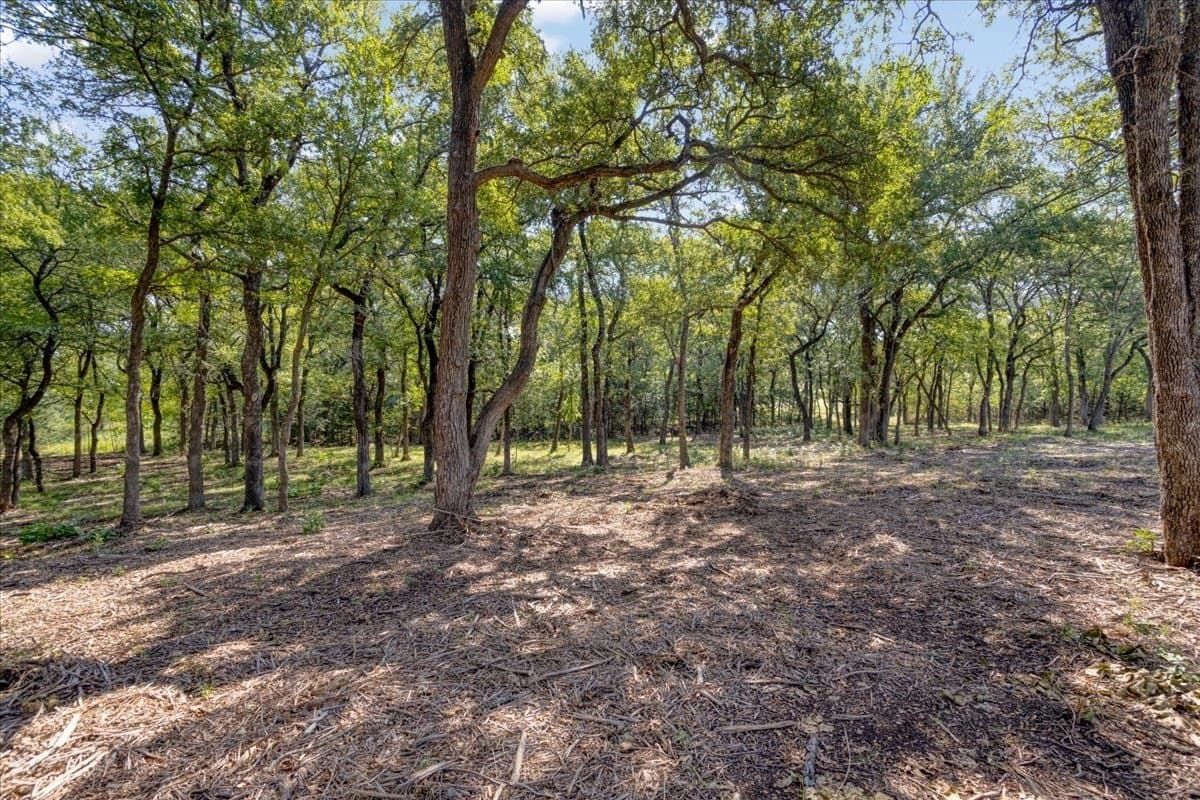 2 acres in Grayson County - photo 5