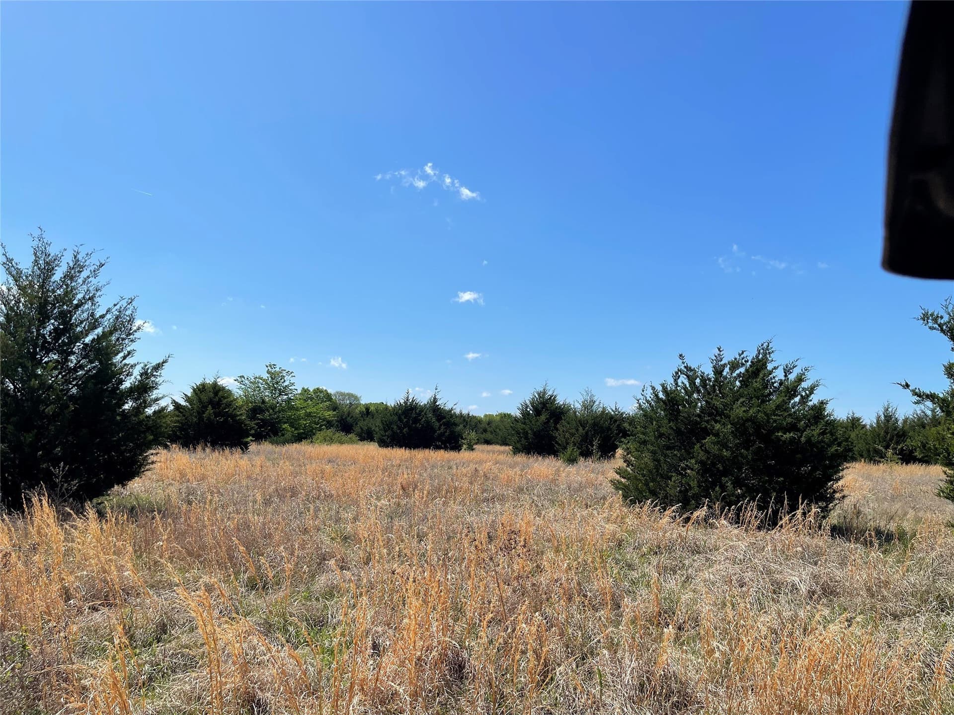29.18 acres in Fannin County - photo 10