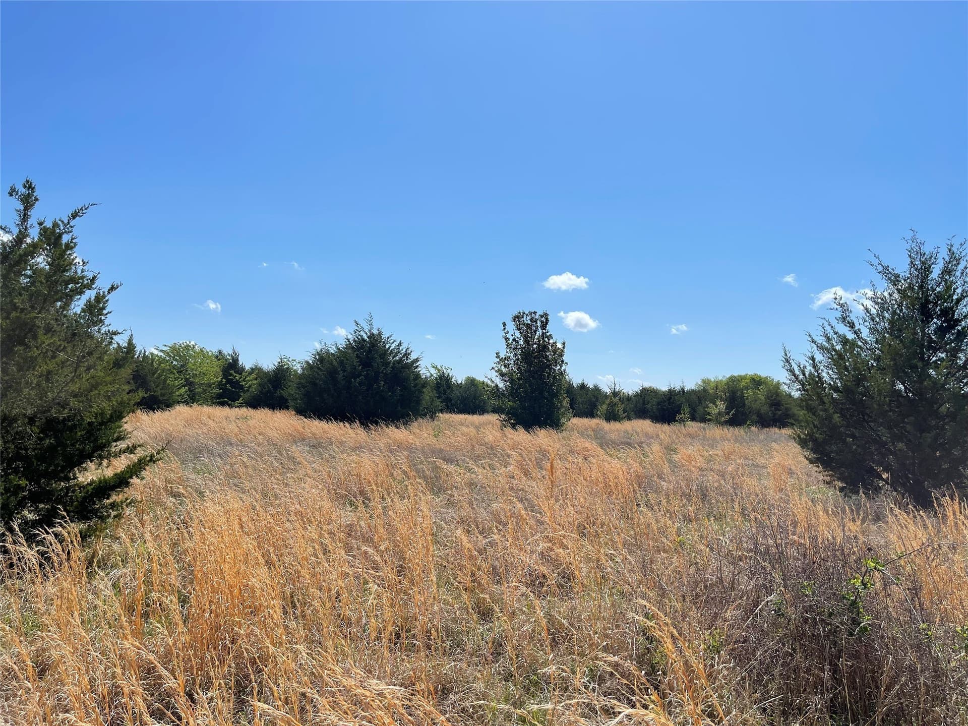 29.18 acres in Fannin County - photo 9