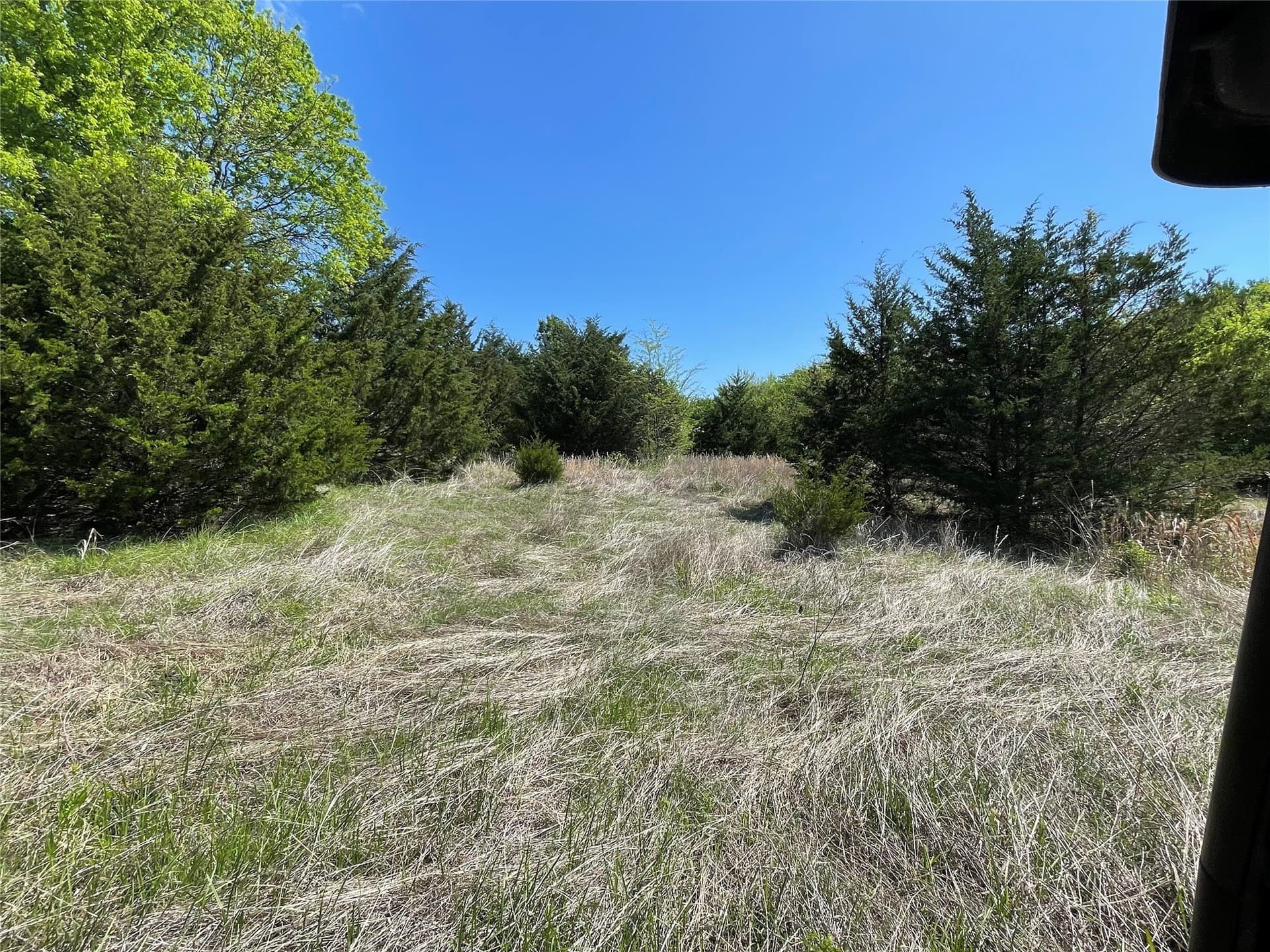 29.18 acres in Fannin County - photo 6