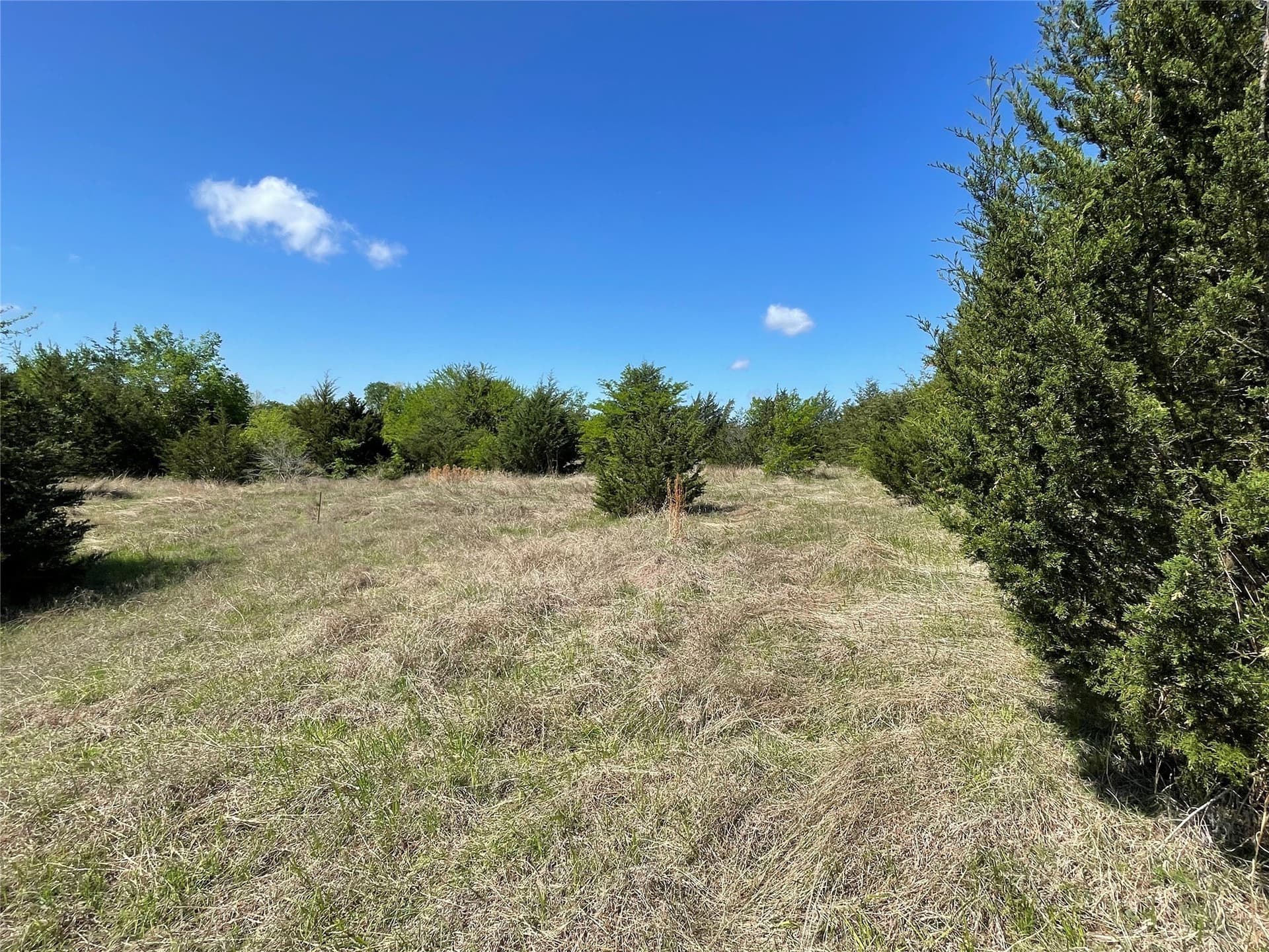 29.18 acres in Fannin County - photo 7