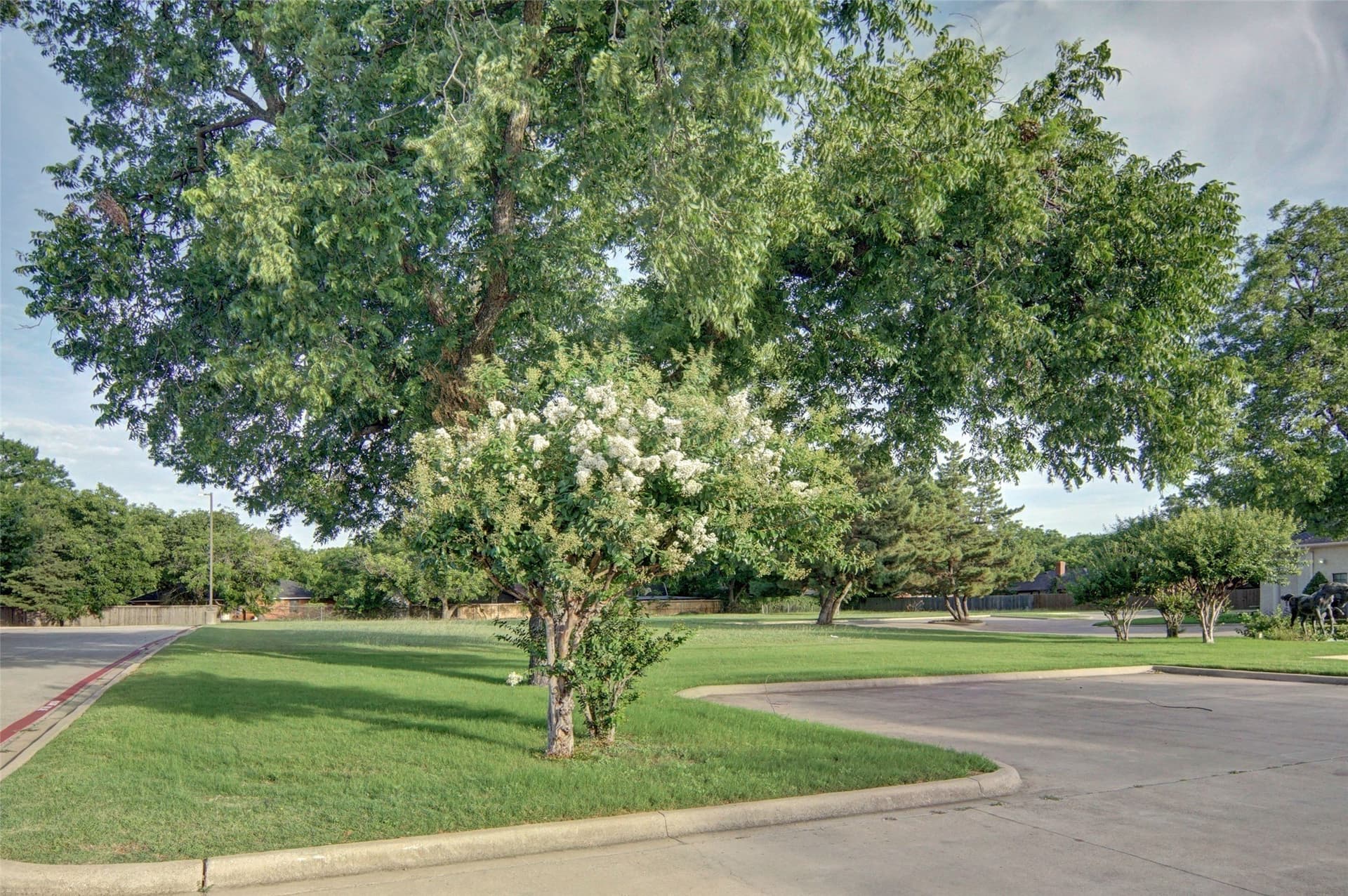 1.19 acres in Parker County - photo 8