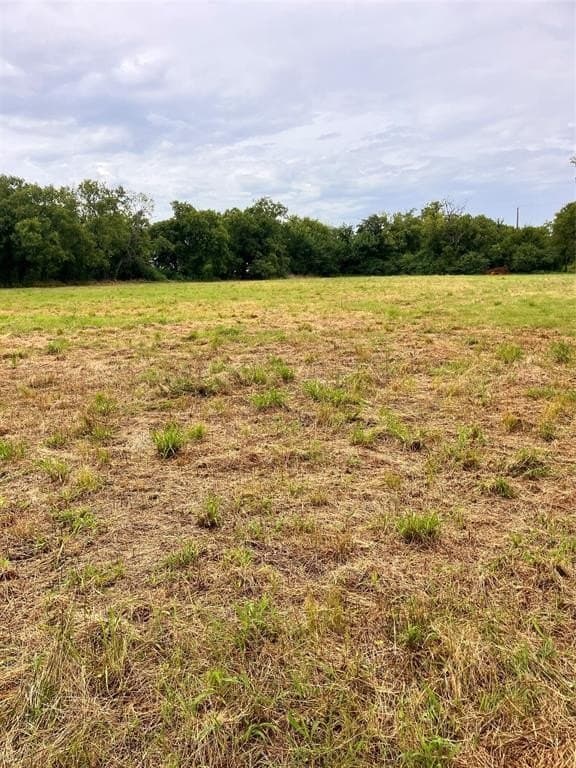 1.69 acres in Navarro County gallery image 2