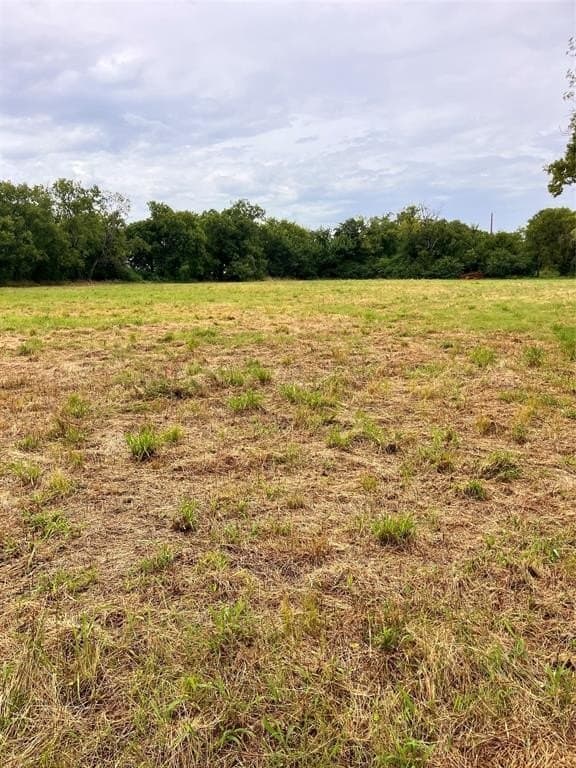 1.69 acres in Navarro County gallery image 3